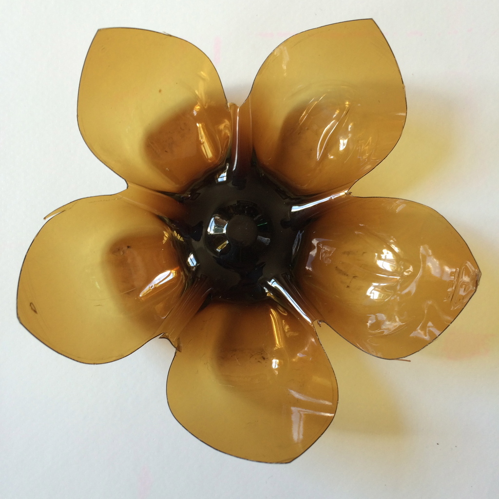 Plastic Bottle Flowers Colourful Minds