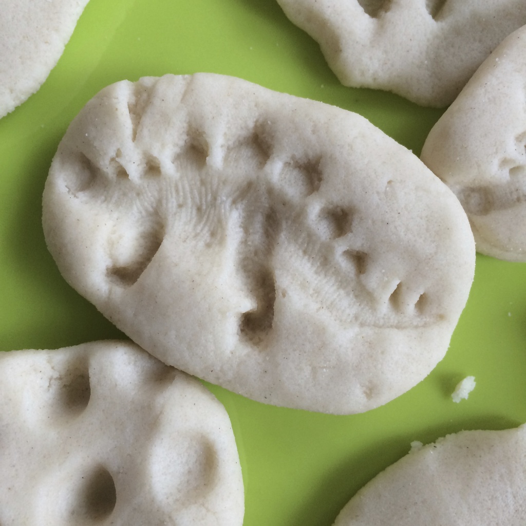 dinosaur fossils salt dough