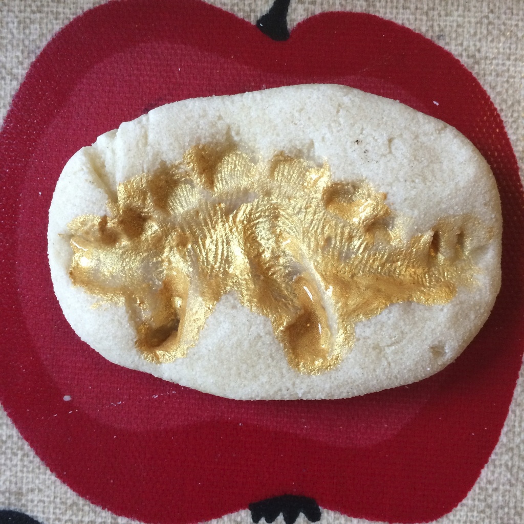 salt dough dinosaur fossils